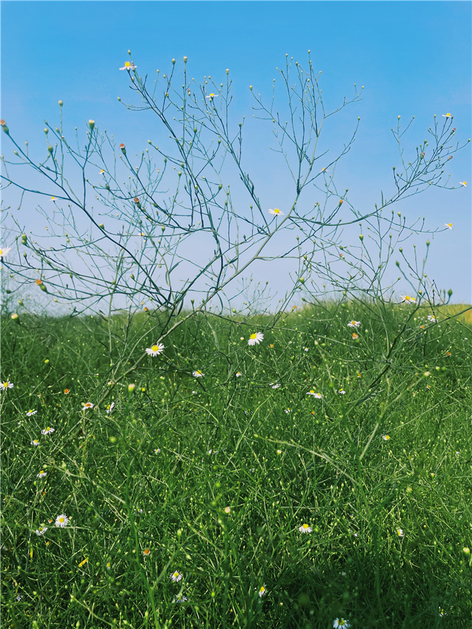 2022-10-04 161958.jpg