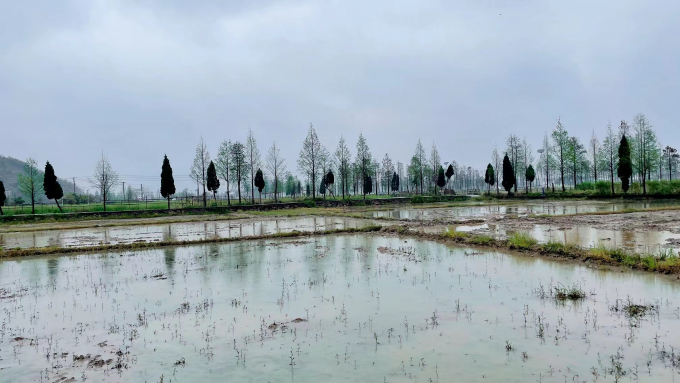 躺平的春天 (2).jpg