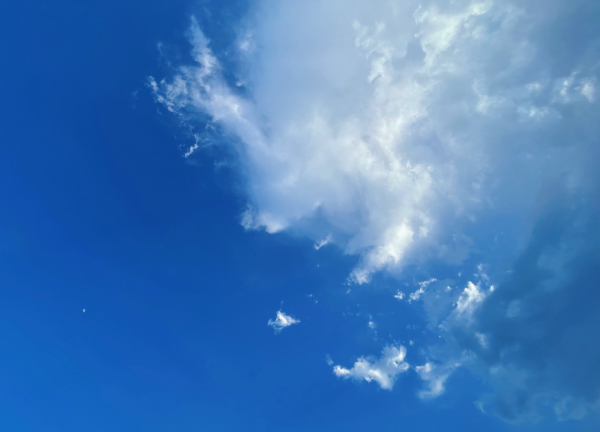 2022-07-08 173255.jpg