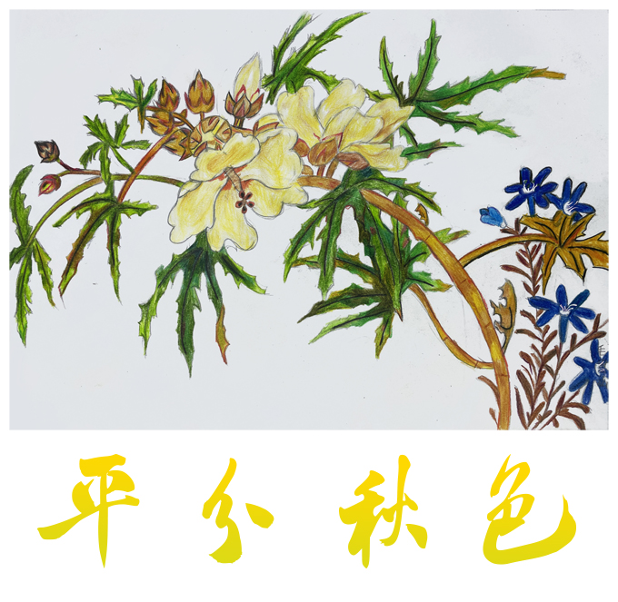 2021-10-08 134218-01.jpg