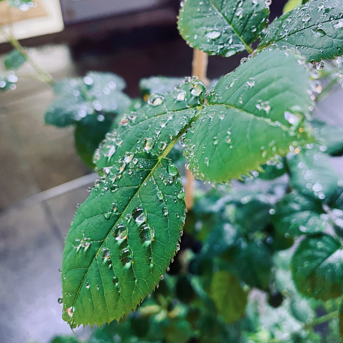 2023-03-29 200808.jpg