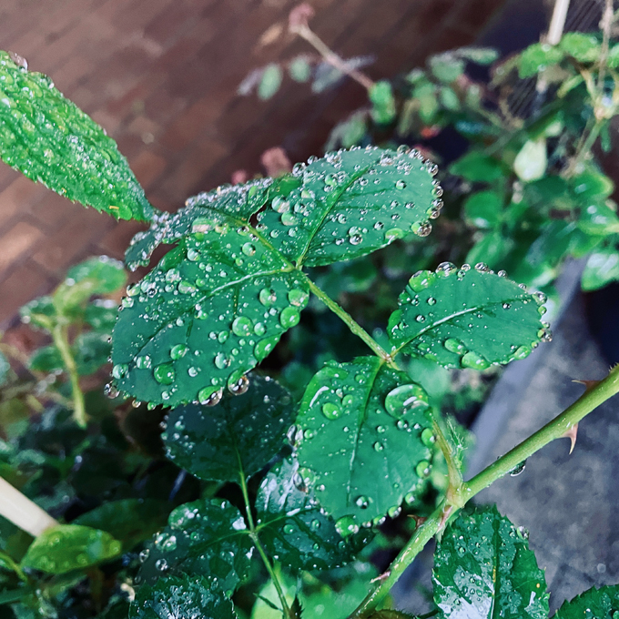 2023-03-29 200810.jpg