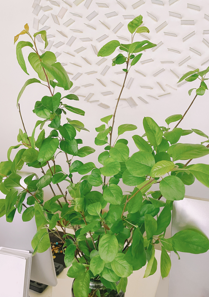 2023-04-11 154430-01.jpg