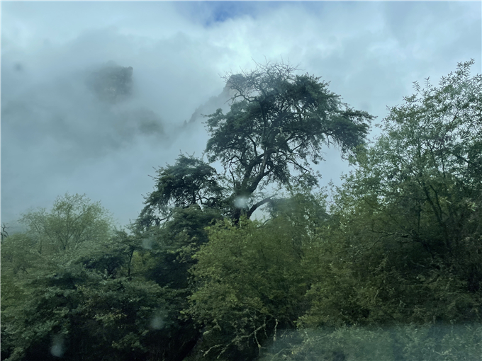 2023-08-27 083240.jpg