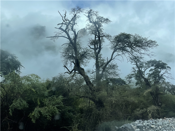 2023-08-27 083242(1).jpg