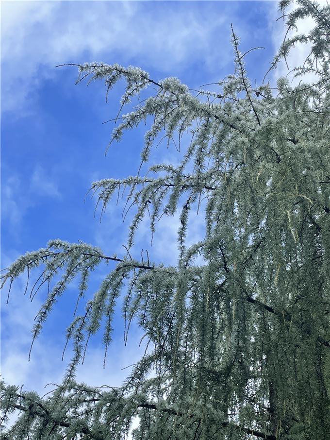 2023-08-27 091127.jpg