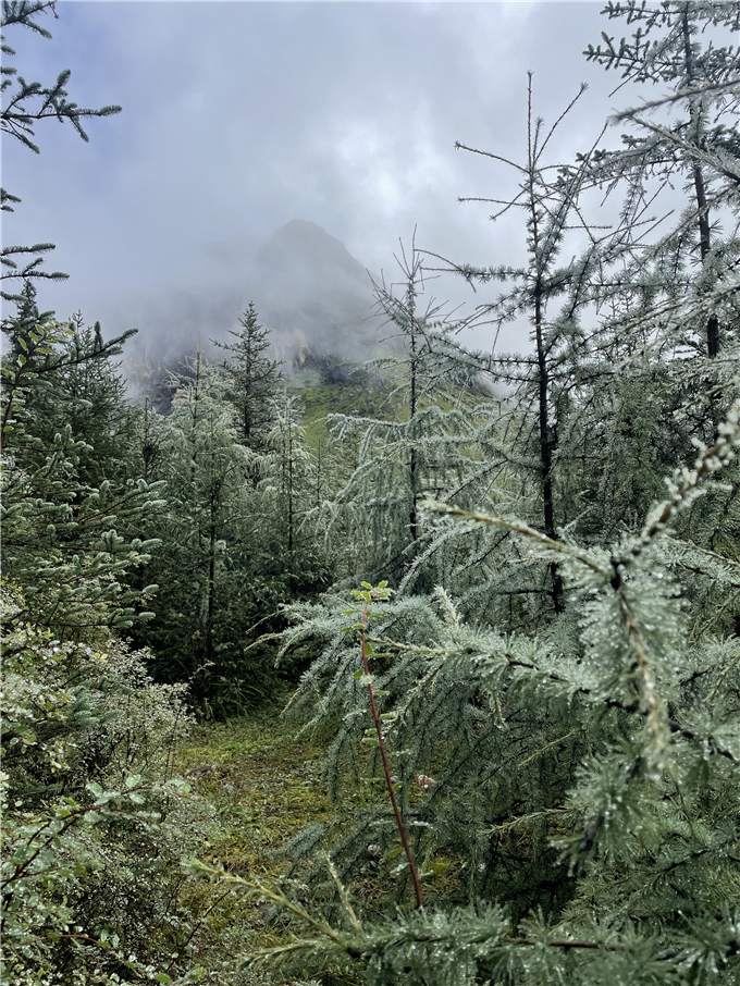 2023-08-27 093016.jpg