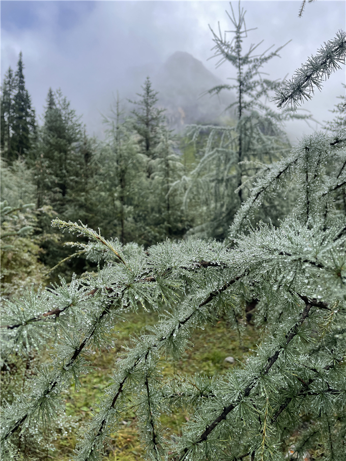 2023-08-27 093118.jpg