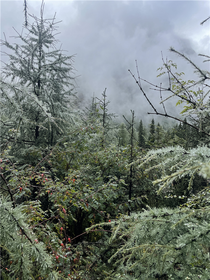 2023-08-27 093250.jpg