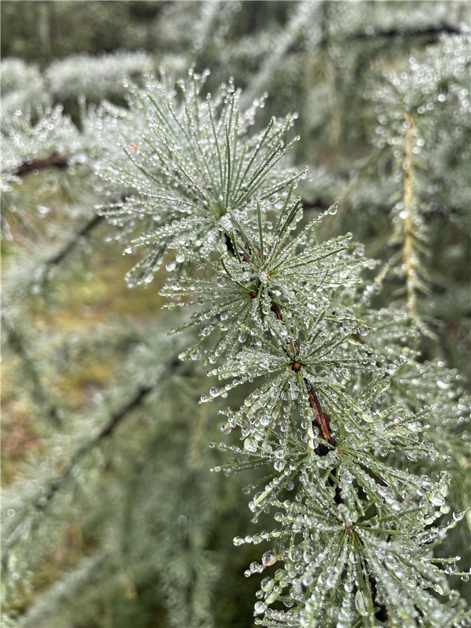 2023-08-27 093334.jpg