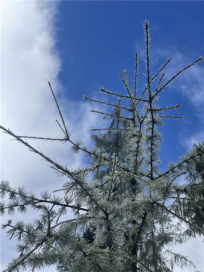 2023-08-27 093606.jpg