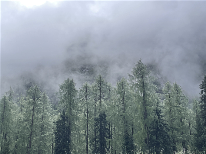 2023-08-27 093900.jpg