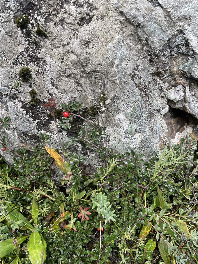 2023-08-27 102344.jpg