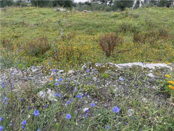 2023-08-27 155620.jpg