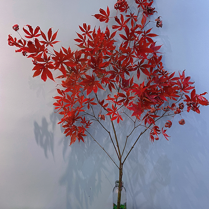 2023-12-08 210032.jpg