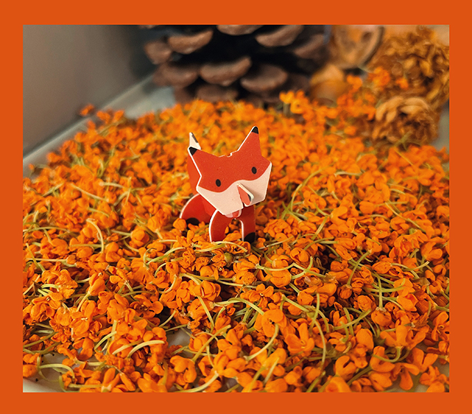 2023-10-18 180957.jpg