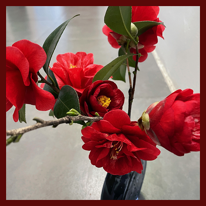 2024-02-21 154748.jpg