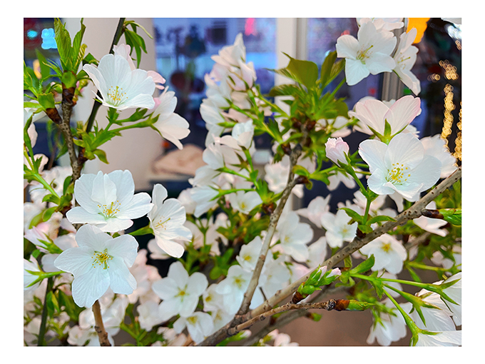 2024-03-27 184732.jpg