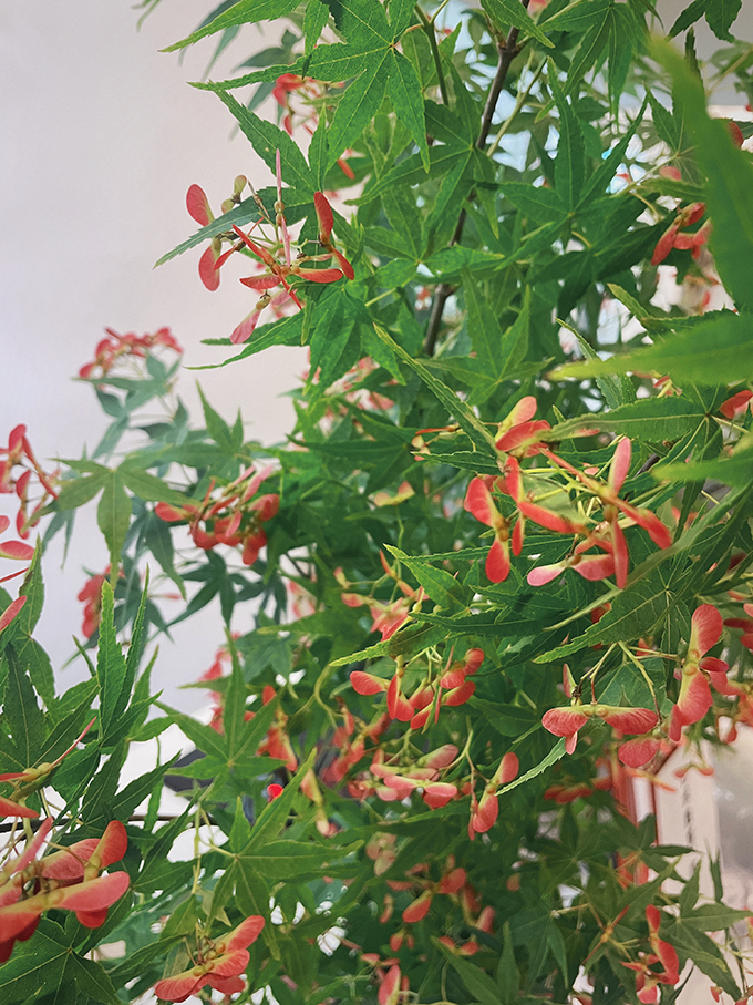 2024-04-15 184549.jpg