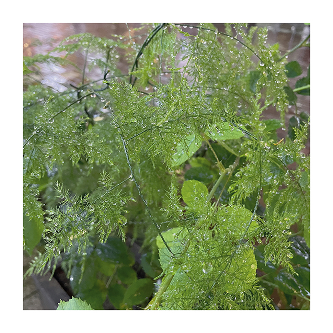 2024-04-22 182612.jpg