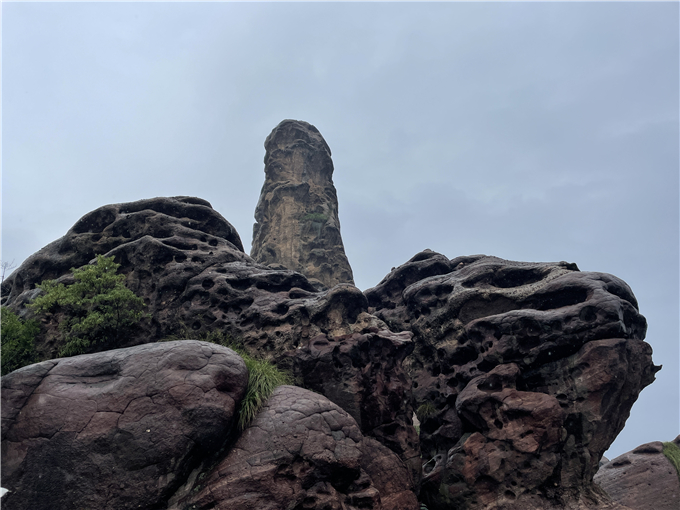 2024-10-01 141426.jpg