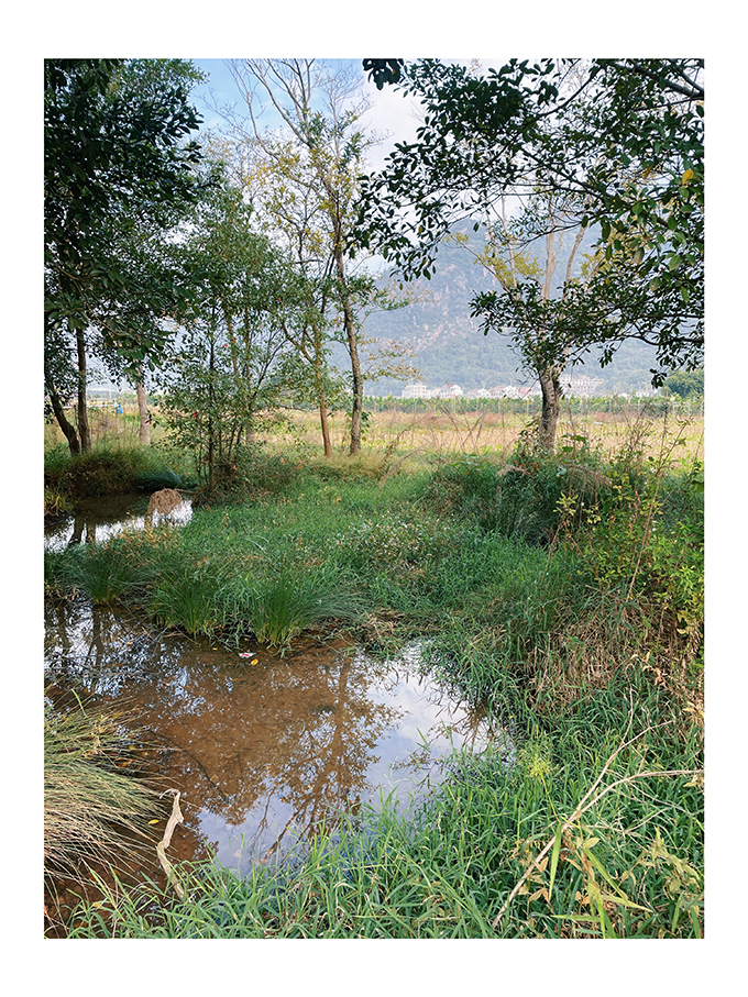 2025-11-15 083255.jpg