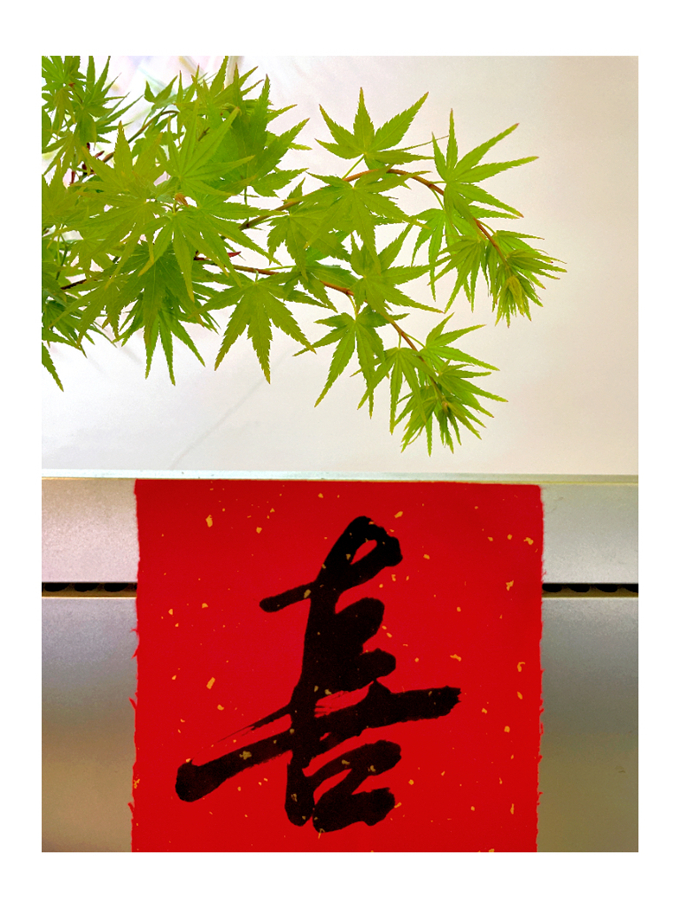 2025-03-26 155507.jpg