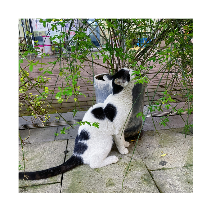 2025-04-23 204614.jpg