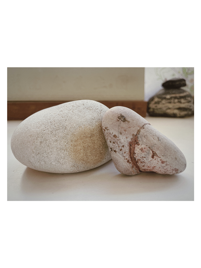 2025-07-05 091901.jpg